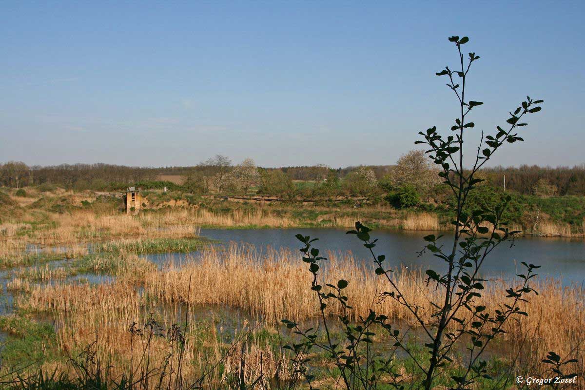 Schlammteiche Wälkesberg