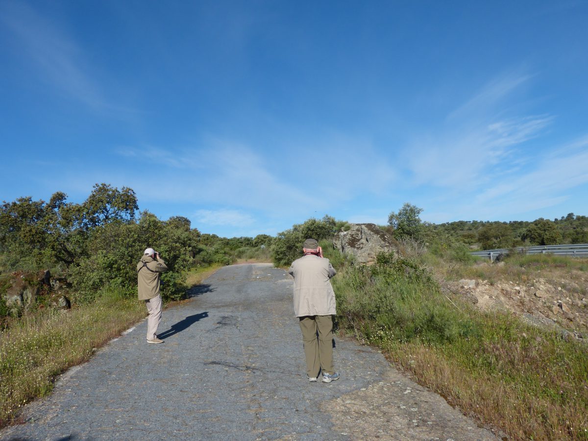 Siegfried und Thorsten bei der Vogelbeobachtung in der Extremadura am 28.04.2014 Foto: Uwe Norra