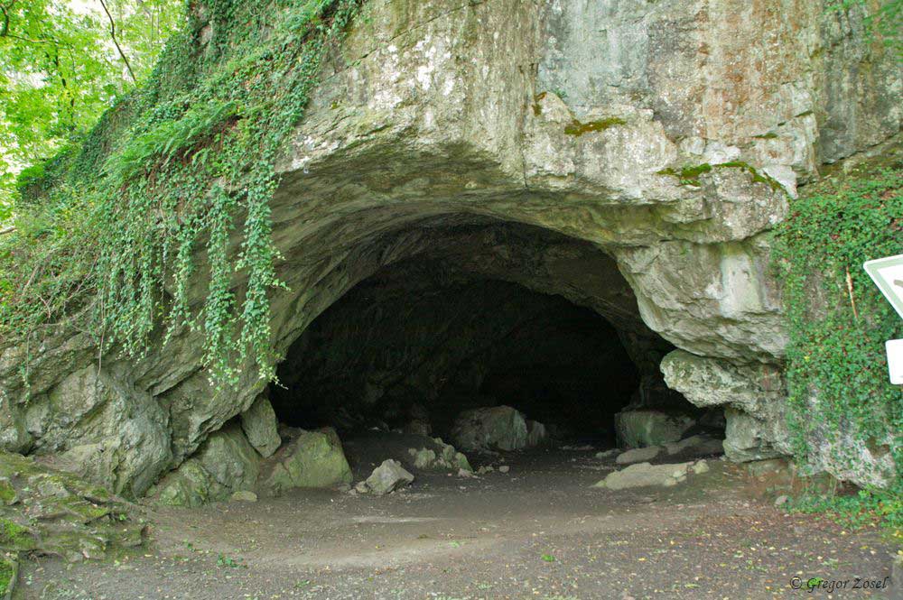 Feldhofhöhle