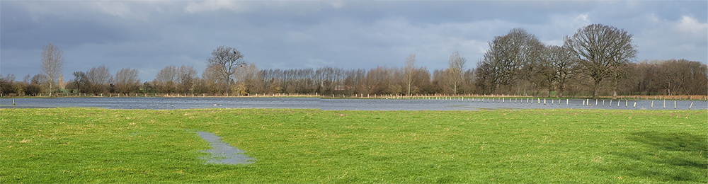 Seenlandschaft in den Hemmerder Wiesen am 19.02.2022