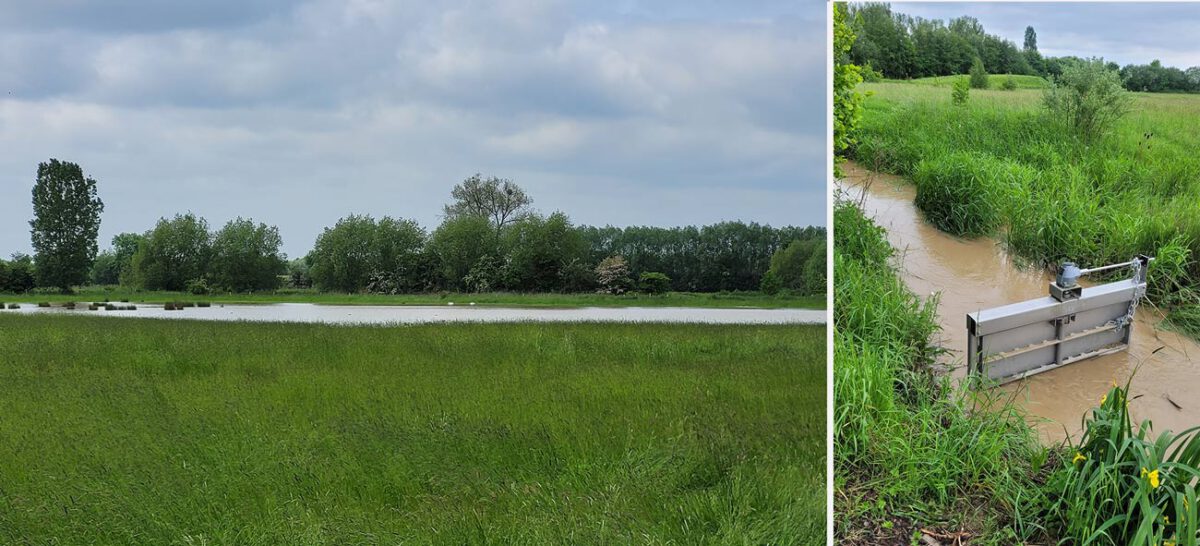 In den Hemmerder Wiesen hat sich die offene Wasserfläche durch den Starkregen am Abend des 22.05. auf das Maximale vergrößert. Rechts die Amecke bei bereits sinkendem Wasserspiegel am 23.05.23