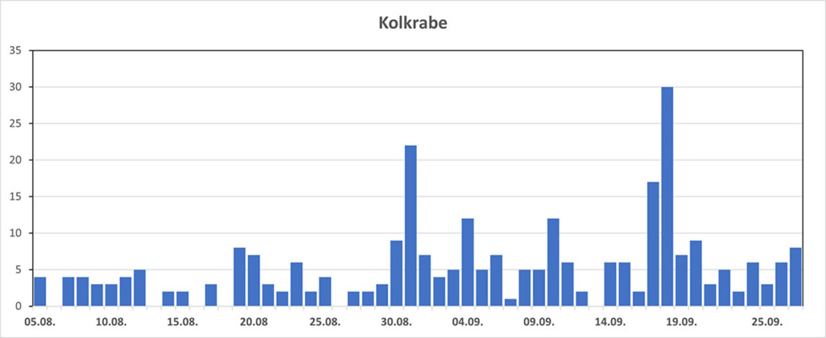 Anzahl Kolkraben 2026