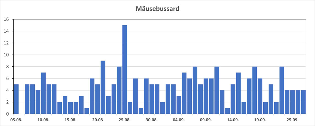 Anzahl Mäusebussarde 2026 (Grafik)