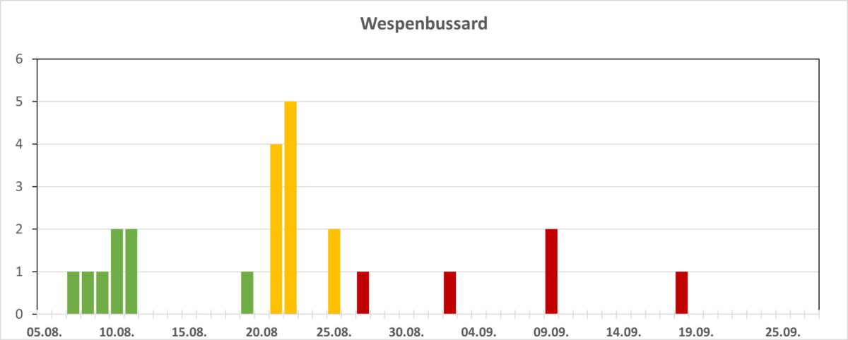 Wespenbussard Zugdaten 2026